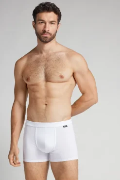 Boxer The Indestructible en Coton Superior