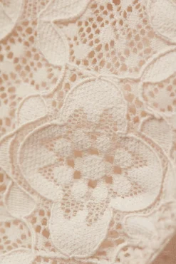 Culotte en Dentelle à Taille Basse