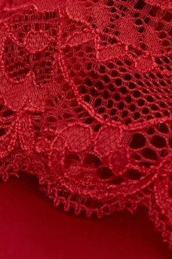 Nuisette en soie et dentelle