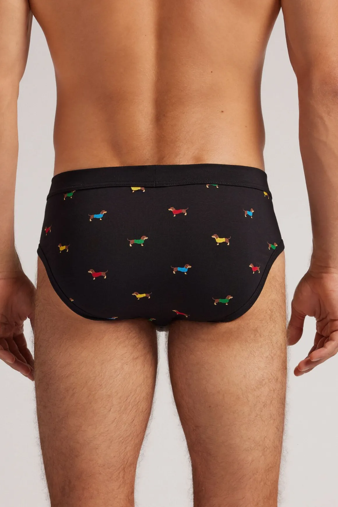 Slip en coton Superior imprimÉ Teckel