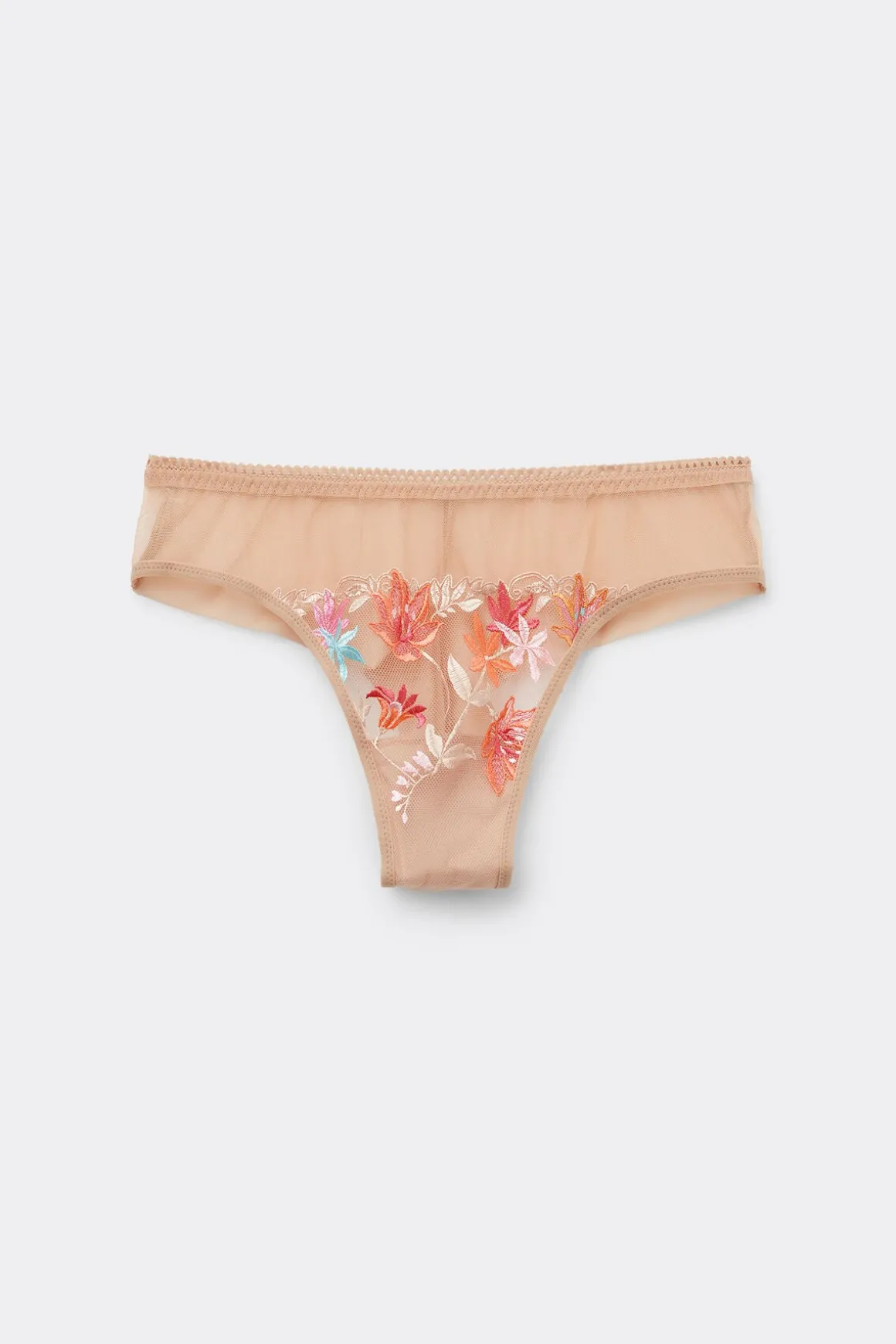 Tanga HERE COMES THE SUN